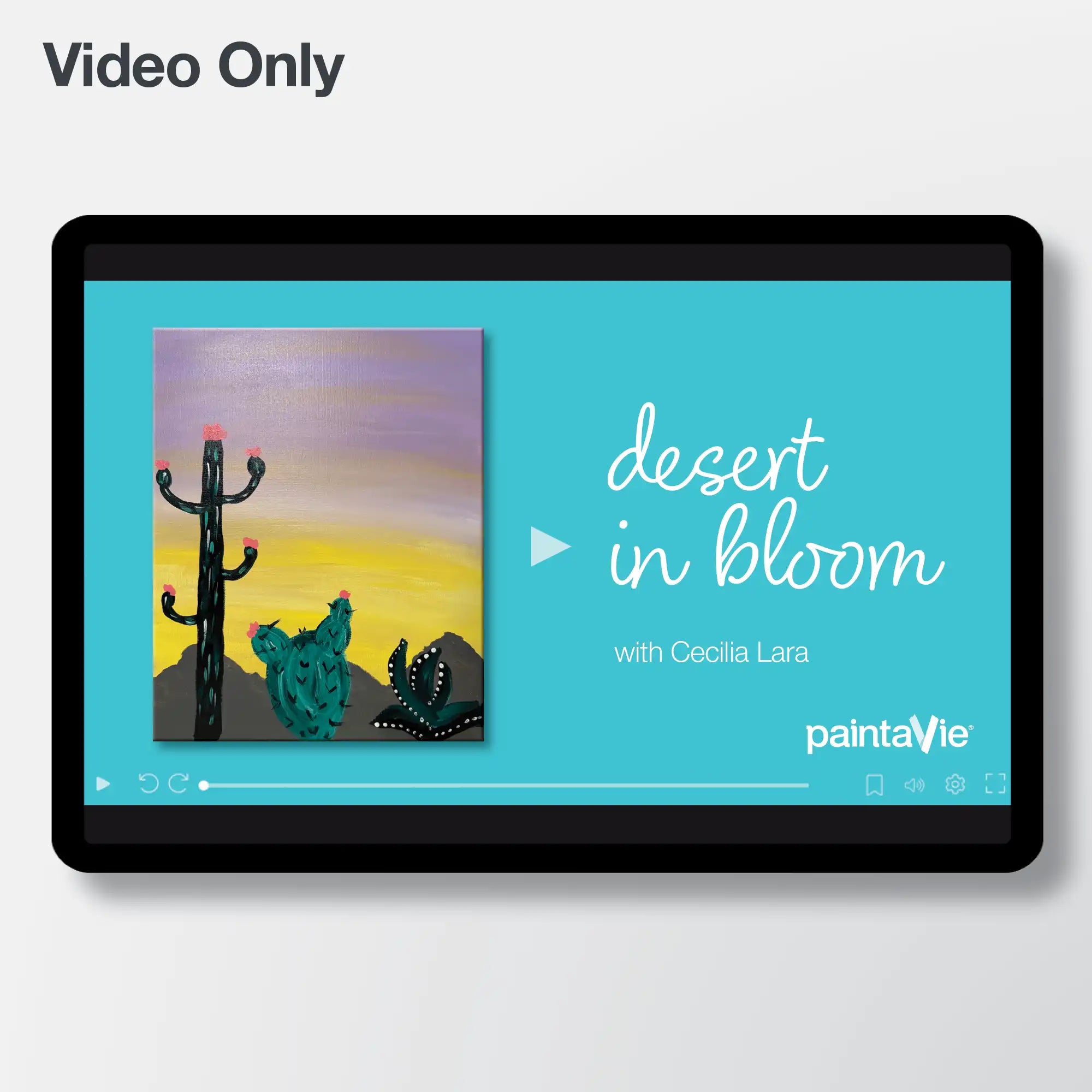 Desert in Bloom